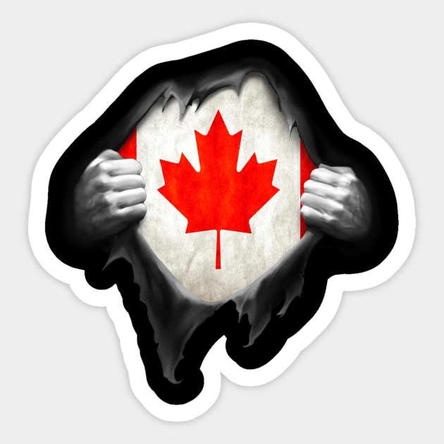 Canada Flag T Shirt. Proud Canadian Sticker by nikolayjs